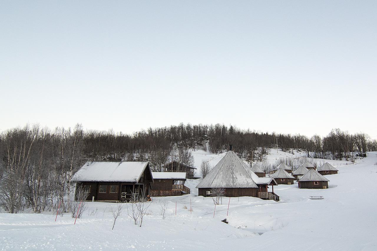Vestvatn - Arctic